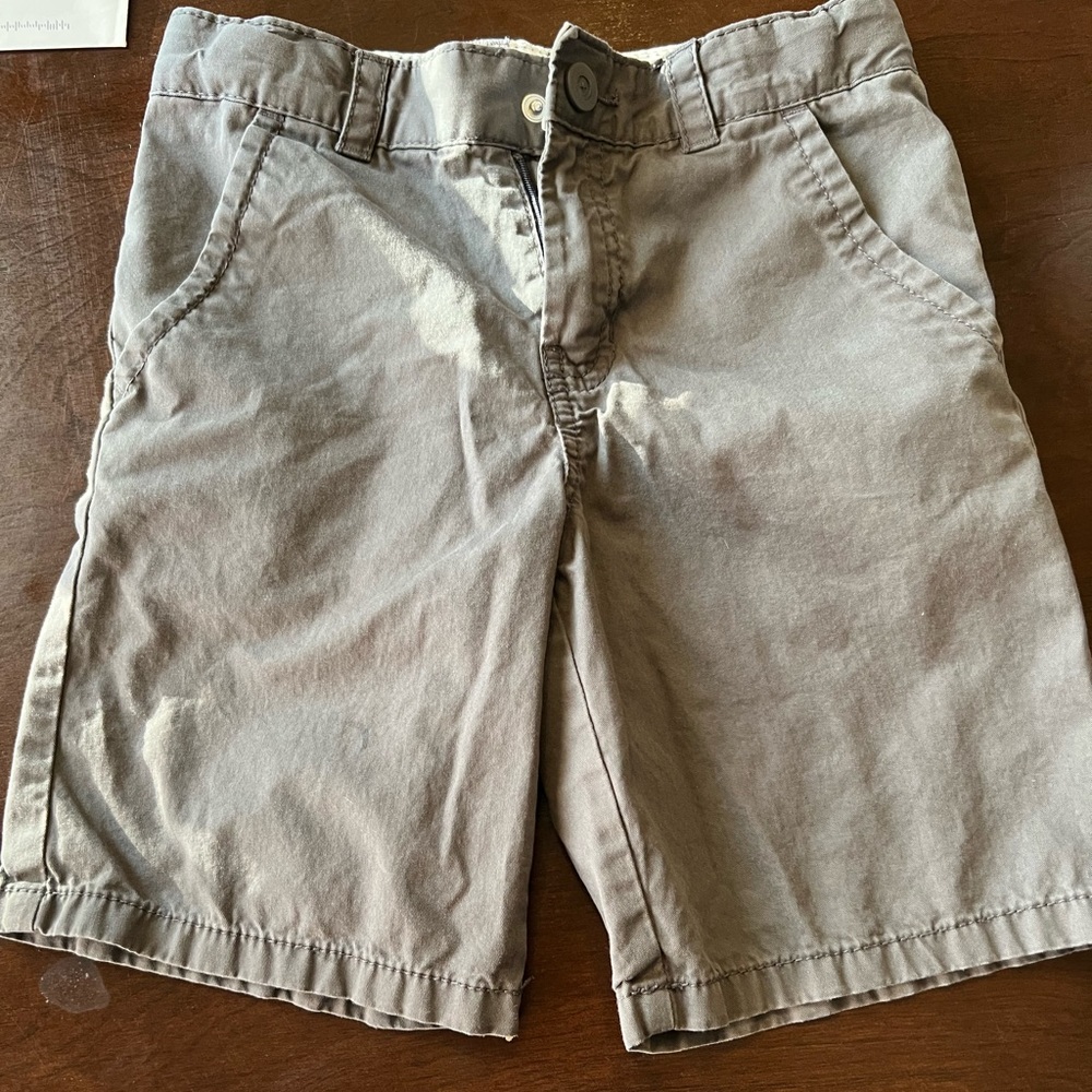 Grey cat and Jack shorts